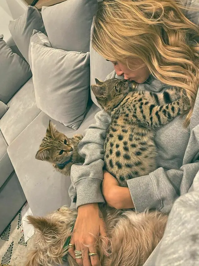 Gemas Banget, 8 Potret Selebritas Terkenal Bersama Kucing Kesayangan