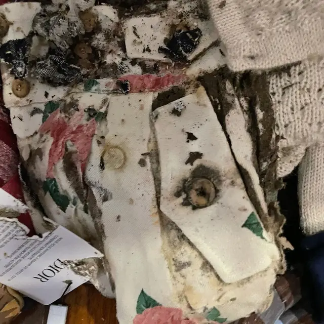 7 Potret Baju Branded Anak Rachel Vennya Dimakan Rayap, Ditaksir Jutaan Rupiah