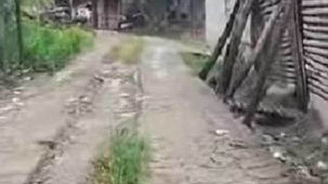 Kisah Kampung Kedung Glatik, Desa Jawa Kuno Berusia Ratusan Tahun yang Akan Ditenggelamkan