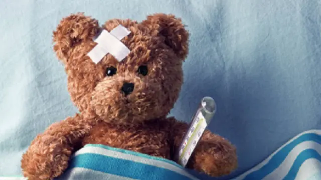 Ilustrasi Teddy Bear (iStock)