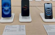 Komparasi Spesifikasi Oppo Reno 14 vs iPhone 16, Lebih Worth It yang Mana?