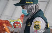 BKHIT Maluku Perketat Pengawasan Komoditas Tumbuhan, Jaga Kualitas Pertanian Daerah