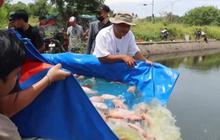 Polres Serang Tebar Ribuan Nila Merah di Danau Puspemkab, Perkuat Ketahanan Pangan Lokal