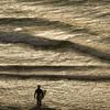 Seorang peselancar berjalan ke laut di Blacks Beach, San Diego, California, Amerika Serikat, 12 Januari 2022. Peselancar di seluruh California Selatan berbondong-bondong ke daerah pantai saat gelombang ombak besar memasuki wilayah tersebut. (AP Photo/Gregory Bull)