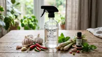 8 Cara Buat Semprotan Anti Tikus dengan Bahan Alami di Rumah