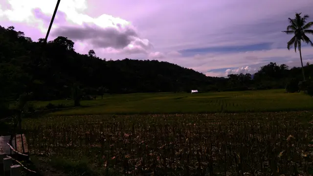 Hutan Adat Marena