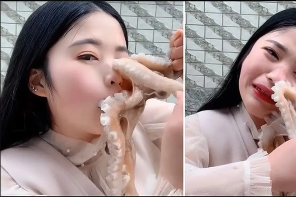 Bikin Merinding, Begini Jadinya Kalau Kamu Makan Gurita Hidup