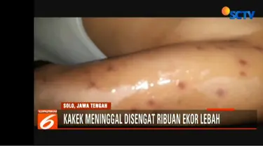 Saat kejadian sang kakek tengah membentulkan letak genteng rumah. Namun tanpa diduga ribuan ekor lebah di atap rumah langsung menyerangnya.