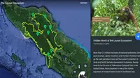 Kawasan Ekosistem Leuser di Google Earth (Foto: Google Earth)