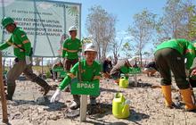 KLH Tetapkan MSP Raih Proper Emas dan Green Leadership PROPER
