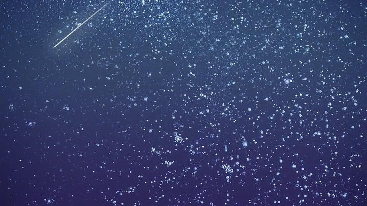 Jodoh Menurut Bulan dan Tanggal Lahir serta Zodiak, Menarik Diketahui