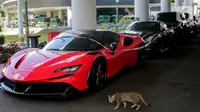 Kejagung Dalami Peran Tujuh Tersangka Kasus Suap Vonis Lepas Korupsi Minyak Goreng