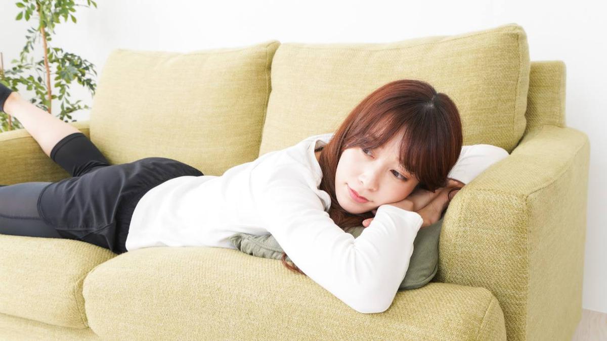 Bantal Boneka Jadi Andalan Relaksasi, Ini Pilihan Premium yang Layak Dicoba