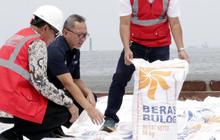 Dapat Izin dari Pemerintah, Bulog Bebas Impor Beras Sepanjang 2024