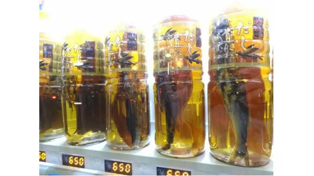 6 Potret Vending Machine Ini Jual Tanaman dan Hewan Hidup, Tak Habis Pikir