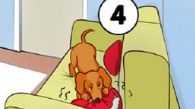 Hal Pertama yang Kamu Lakukan di Situasi Ini dapat Ungkap Kepribadian Tersembunyi