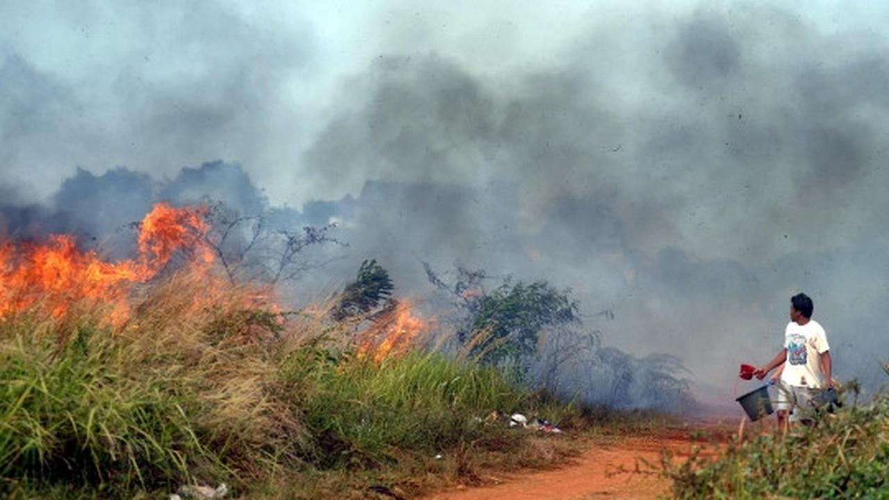 Warga dan petugas bahu-membahu padamkan kebakaran lahan di Tangsel