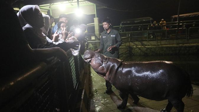 Wisata Malam Ragunan Dikunjungi 40 Ribu Pengunjung Tiap Akhir Pekan, Catat Jadwal dan Tarif Masuknya