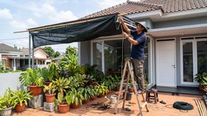 Cara Mengurangi Stres Panas pada Tanaman Hias, Jangan Sampai Layu dan Mati