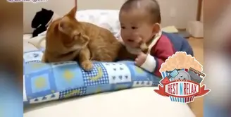 Reaksi Kucing Saat Ekornya Digigit Bayi