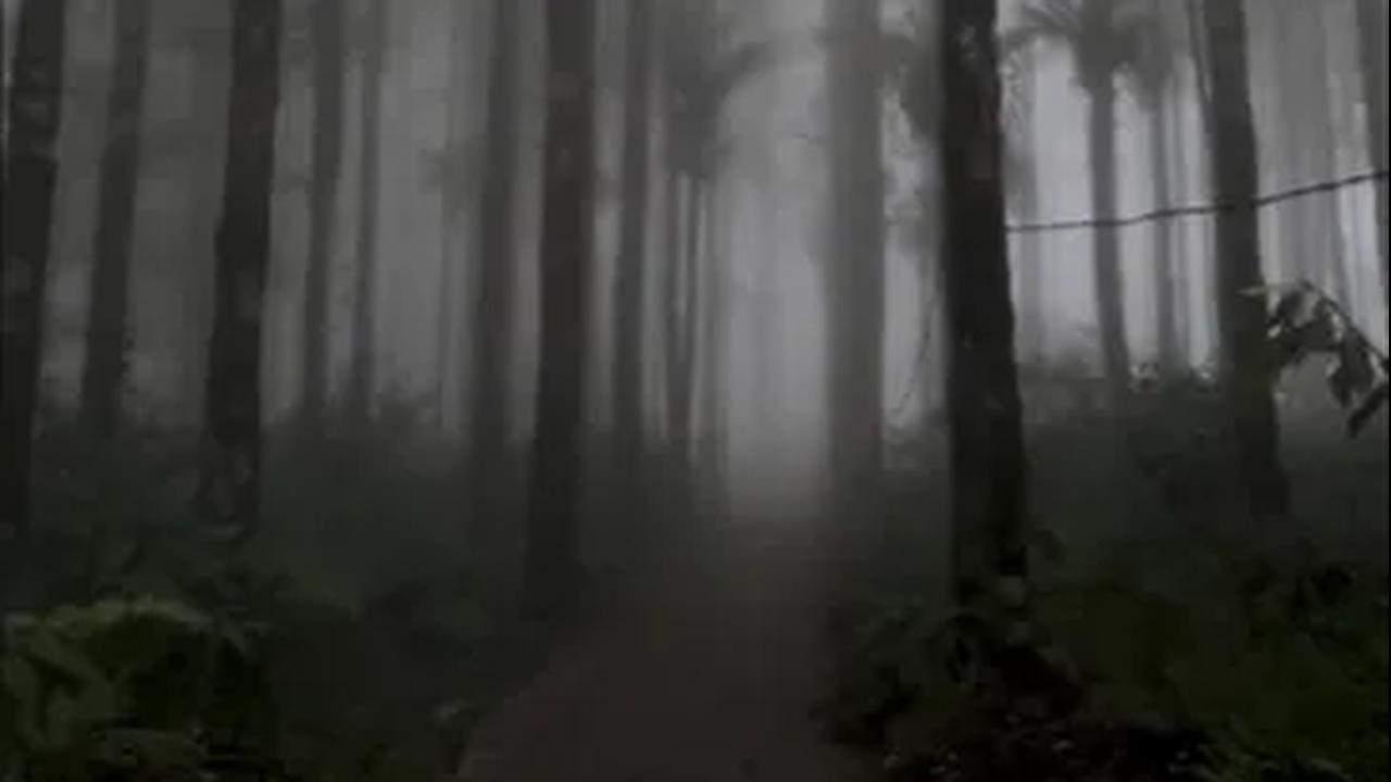 Cocok untuk Wisata Introvert