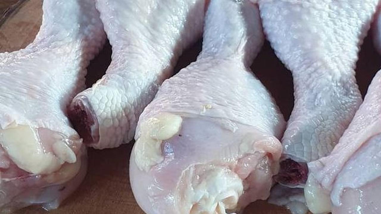 3. Resep Makanan Penggemuk Kucing Daging Ayam<br>