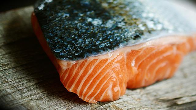 Ilustrasi ikan salmon