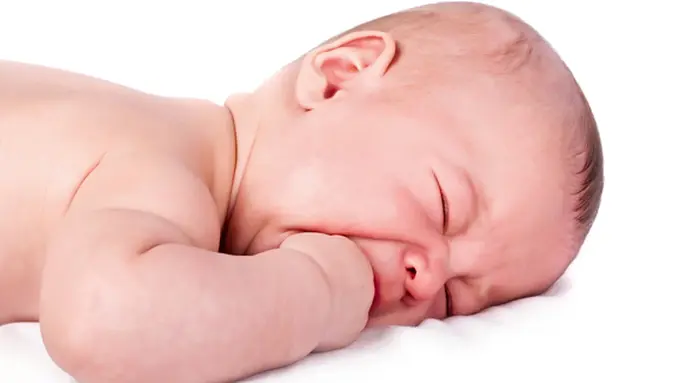 courtesy shutterstock