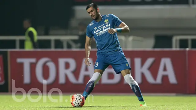 Vladimir Vujovic, Persib Bandung