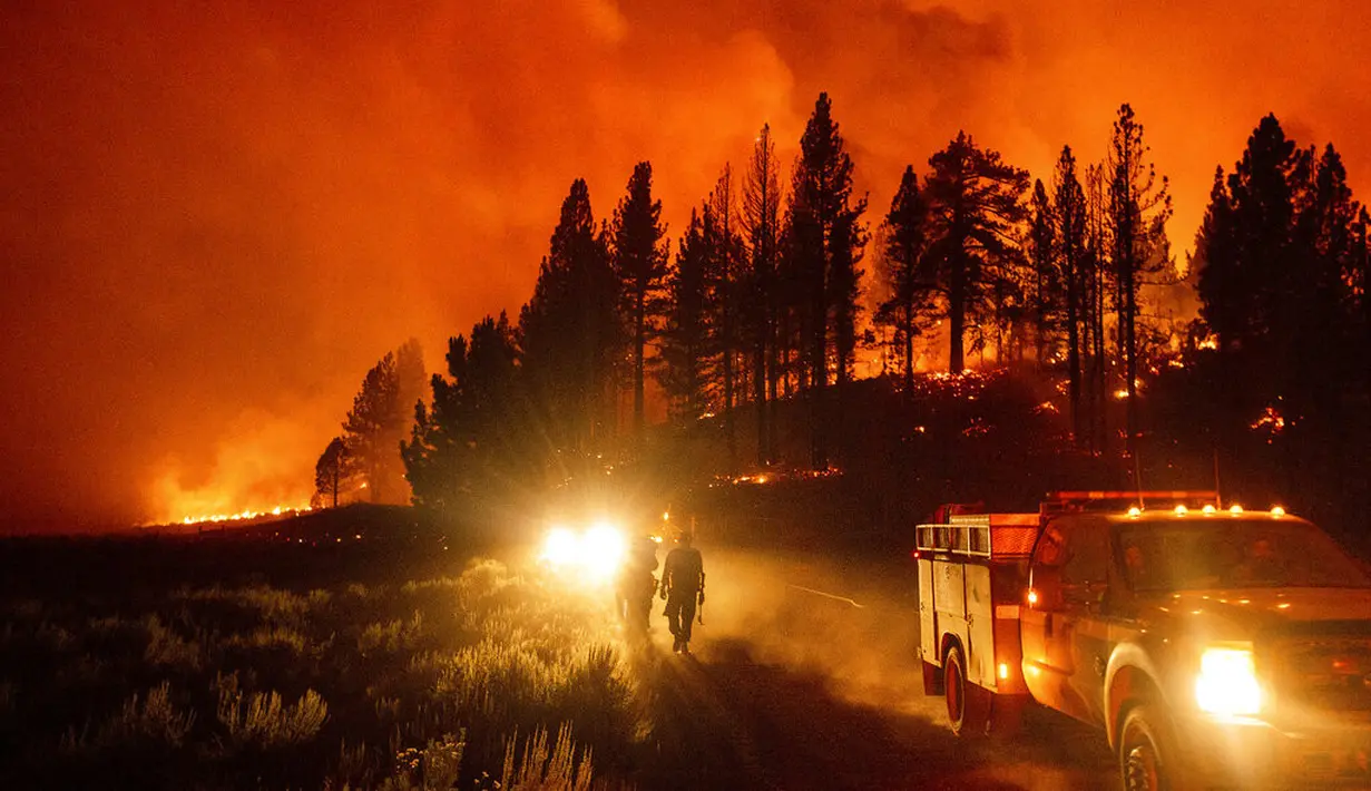 Petugas pemadam kebakaran berusaha memadamkan api dari Kebakaran Kompleks Beckwourth, yang membakar di Hutan Nasional Plumas, California (8/7/2021). Kebakaran kali ini merusak 91 bangunan. (AP Photo/Noah Berger)