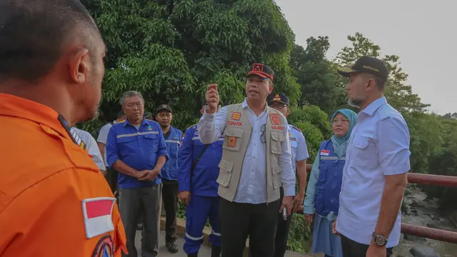 Wagub Sumut, Musa Rajekshah