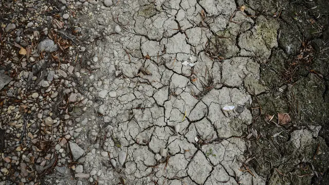 Ketinggian Air Sungai Danube di Hungaria Turun