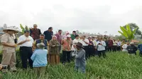 Komisi IV Minta Pemerintah Perbaiki Tata Kelola Pangan
