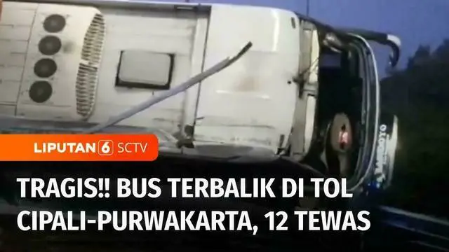 Sebanyak 12 orang tewas dalam kecelakaan maut bus terbalik di tol Cipali - Purwakarta, Jawa Barat, sedangkan sembilan penumpang bus lainnya terluka.