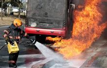 Meksiko Mencekam Usai Penangkapan Bos Kartel Narkoba, Mobil dan Properti Dibakar