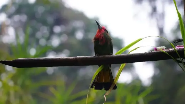 Danau Laut Tinggal di Gunung Malintang. (Dok: IG @migofannan https://www.instagram.com/p/Cs-8WEfPKJZ/?igsh=MTM3d3Z5bGplYm5tYQ==)