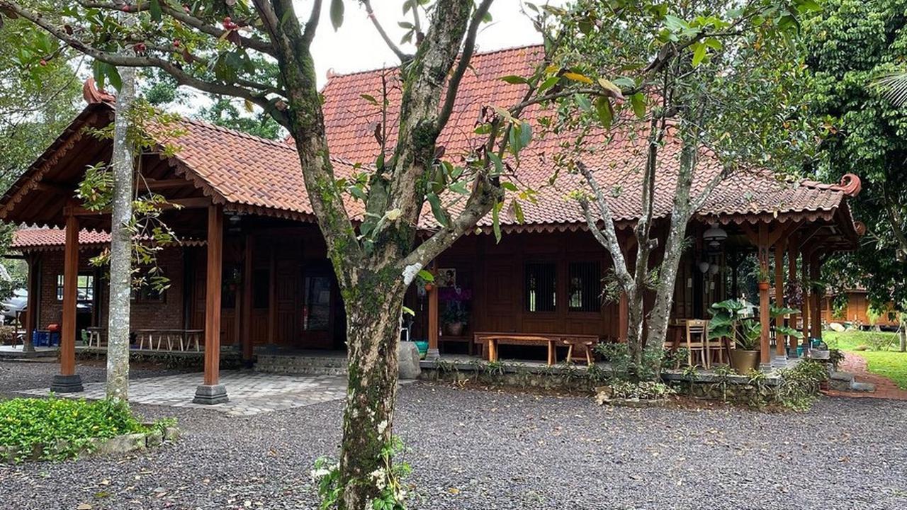 Ada Tanaman Langka, Intip Sederet Potret Warung Titiek Soeharto di Bogor yang Pembukaannya Dulu Dihadiri Prabowo Subianto
