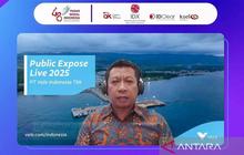 Terungkap! Danantara Minati Investasi di Tiga Proyek Nikel Vale Indonesia, Dukung Energi Hijau