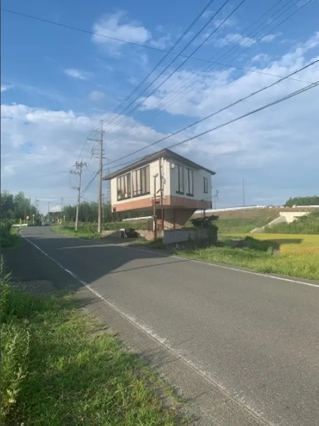 Rumah jamur