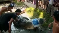 Sejak 2007, 3 orang warga Singkil tewas dimangsa buaya. Umumnya mereka berprofesi sebagai nelayan di Sungai Singkil.