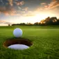 Ilustrasi lapangan golf (iStockphoto)