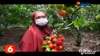 Di Nganjuk, Jawa Timur, terdapat kampung yang menyulap pekarangan rumah warga menjadi wisata buah, yakni bernama kampung rambutan. Hanya dengan membayar uang masuk Rp.10.000, pengunjung bisa memetik dan menyantap buah rambutan sepuasnya.