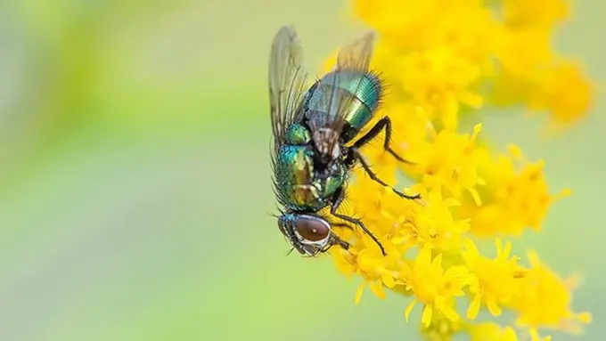 copyright Pexels.com