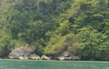 10 Wisata Cilacap Populer yang Patut Disambangi, Ini Daftarnya
