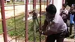 liputan6