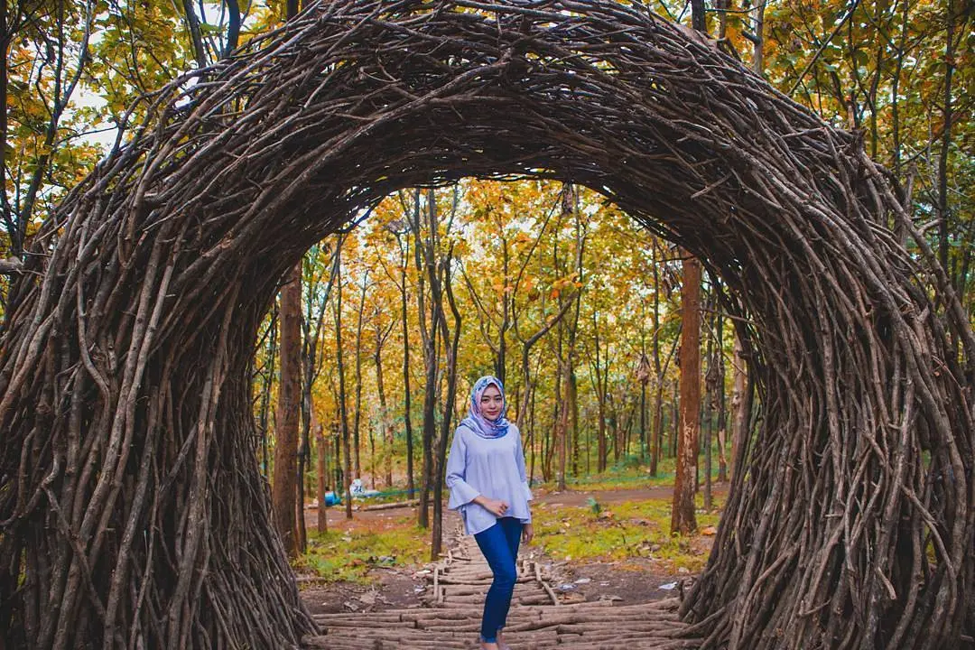 Hutan Jati Kandangan, Kediri, Jawa Timur. (Sumber Foto: smidsphotos/Instagram)