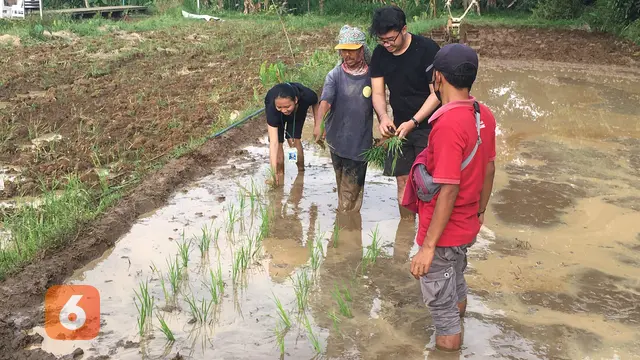 Agro Eduwisata Organik Mulyaharja