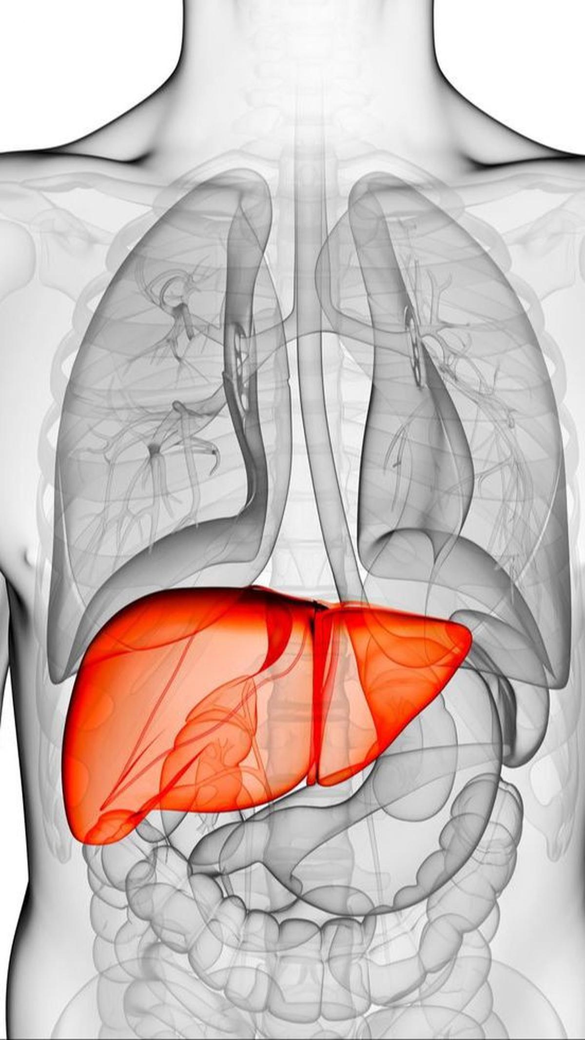 Gejala Fibrosis