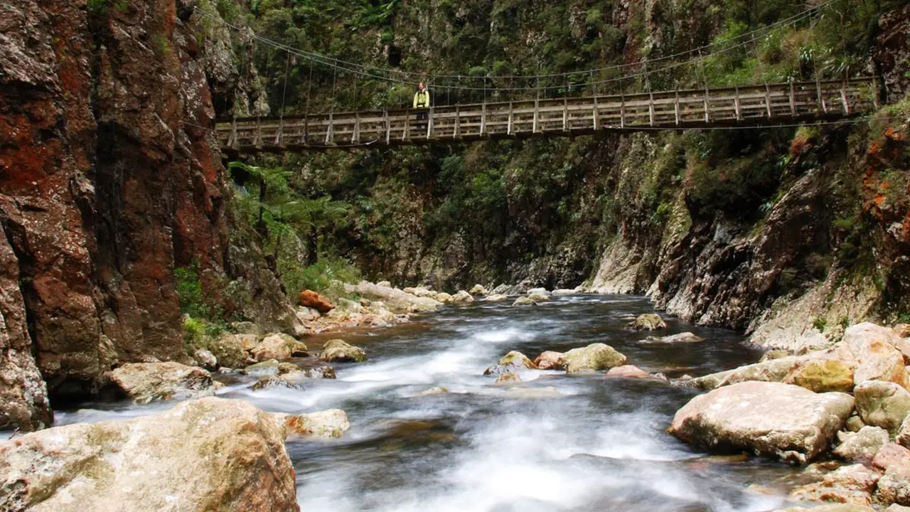 Karangahake Gorge, sebuah ngarai yang terletak di North Island, Selandia Baru kini menjadi objek sengketa