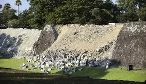 Kisah Unik Namazu, Mitos Lele Raksasa yang Diyakini Picu Gempa Jepang